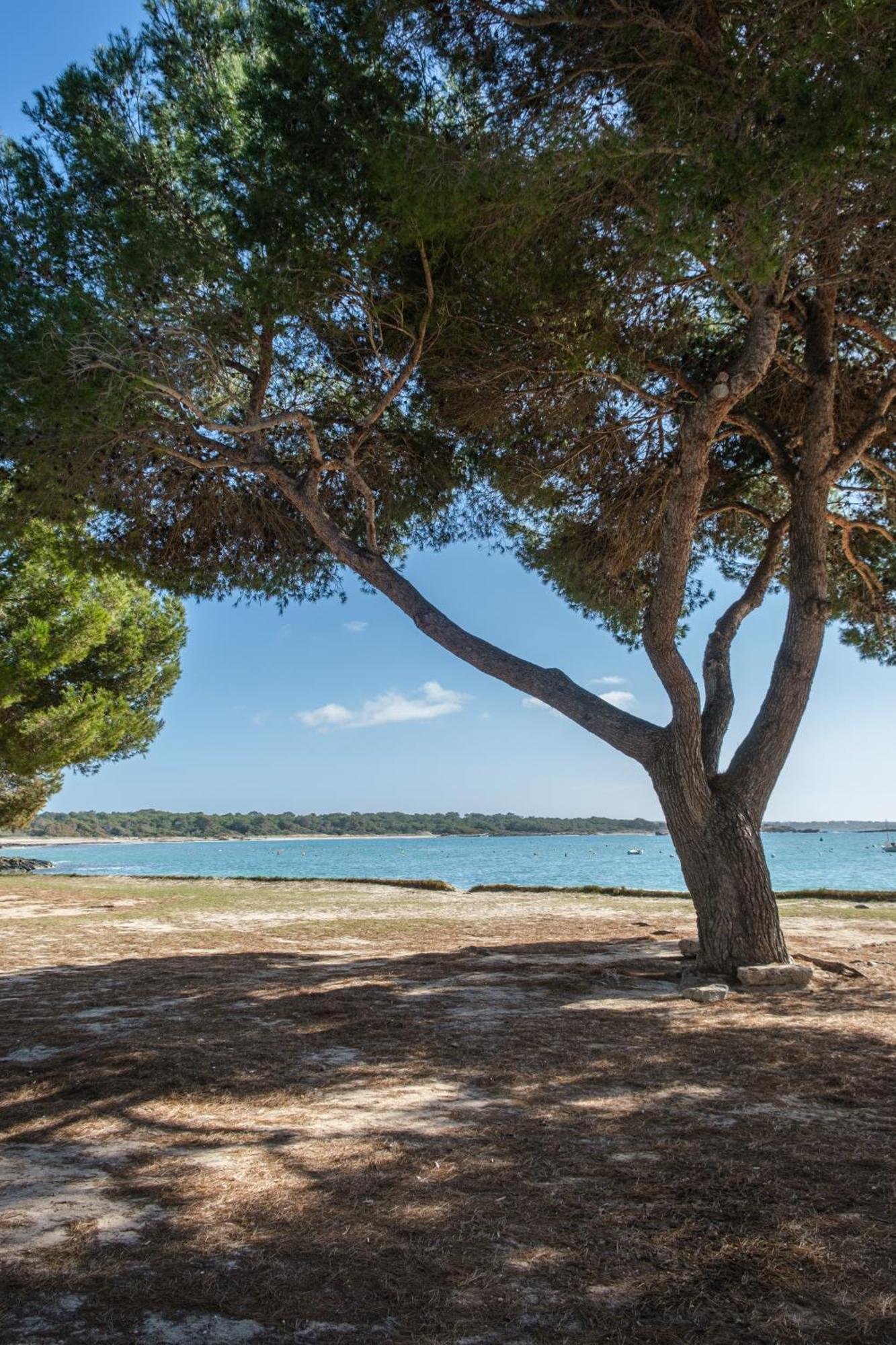 Alma Libre Beach Apartment Colonia de Sant Jordi ภายนอก รูปภาพ